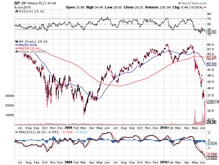 Der USA Bären-Thread 325562