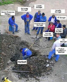 Thompson Creek Metals (Blue Pearl Mng) 82635