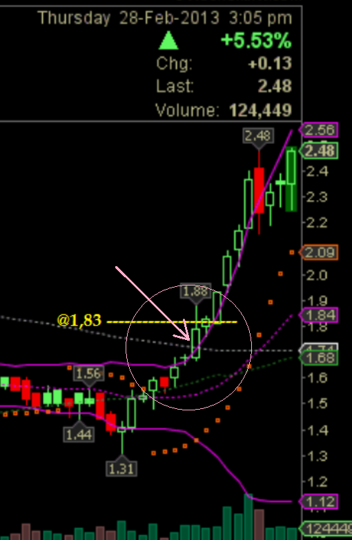 Wesleys Flugschule - US Auslese 586605