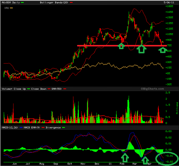 Bass Metals, der wirtschaftliche Produzent 401135