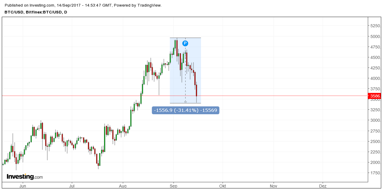 Der USA Bären-Thread 1012321