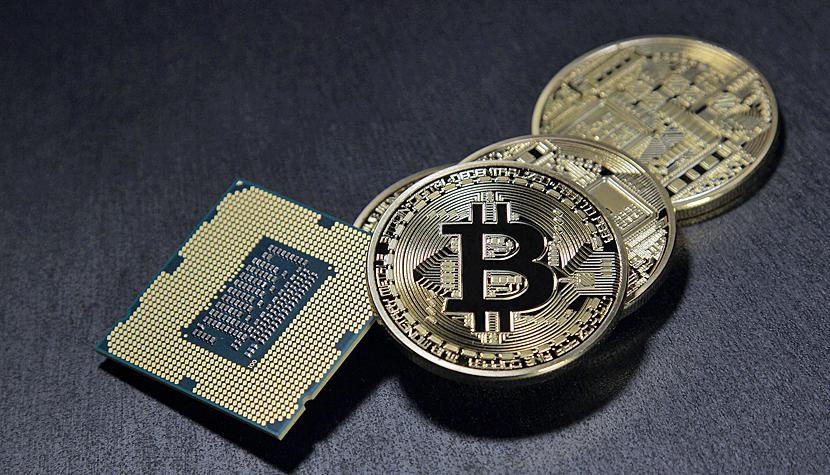 Der USA Bären-Thread 1031594