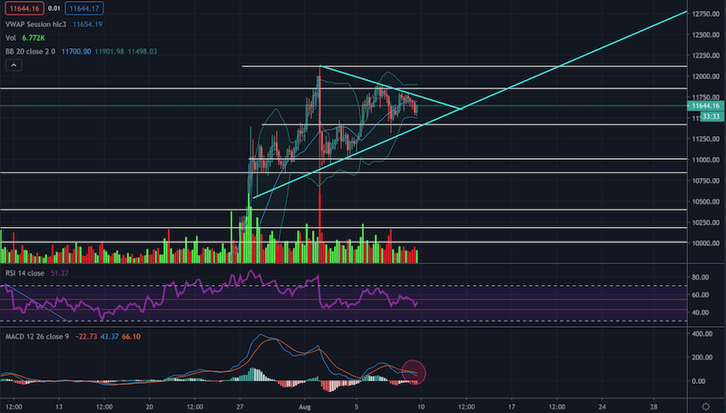 Bitcoins der nächste Monsterhype steht bevor! 1195056