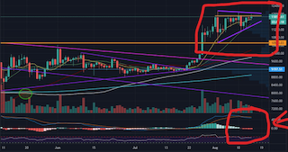 Bitcoins der nächste Monsterhype steht bevor! 1196227