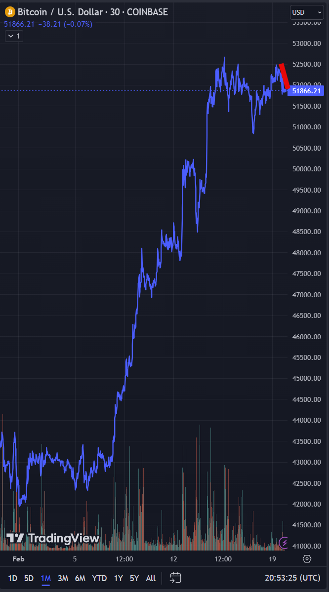 Bitcoin - mehr als eine Spekulationsblase? 1414954