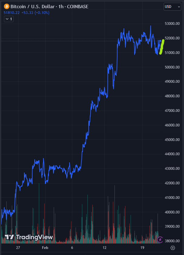 Bitcoin - mehr als eine Spekulationsblase? 1415555