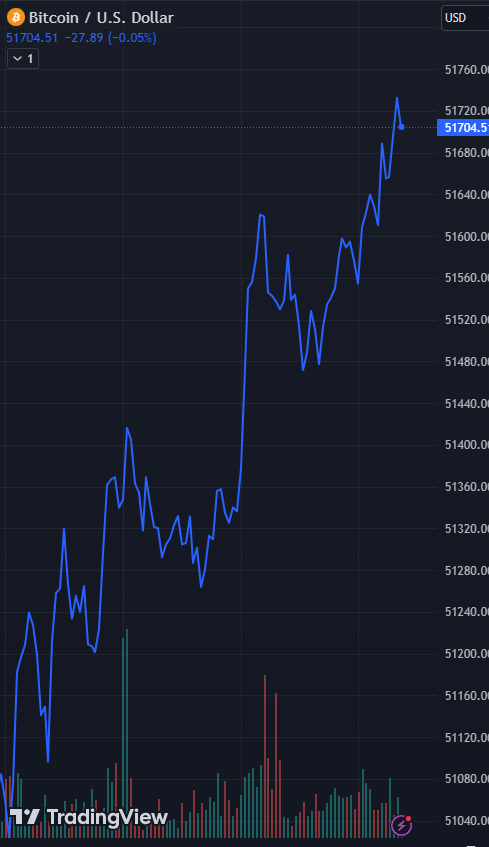 Bitcoin - mehr als eine Spekulationsblase? 1415671