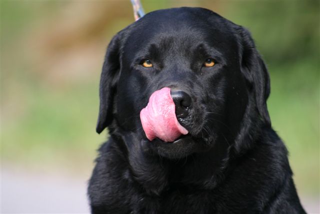 Break Even bei Lycos... 175009