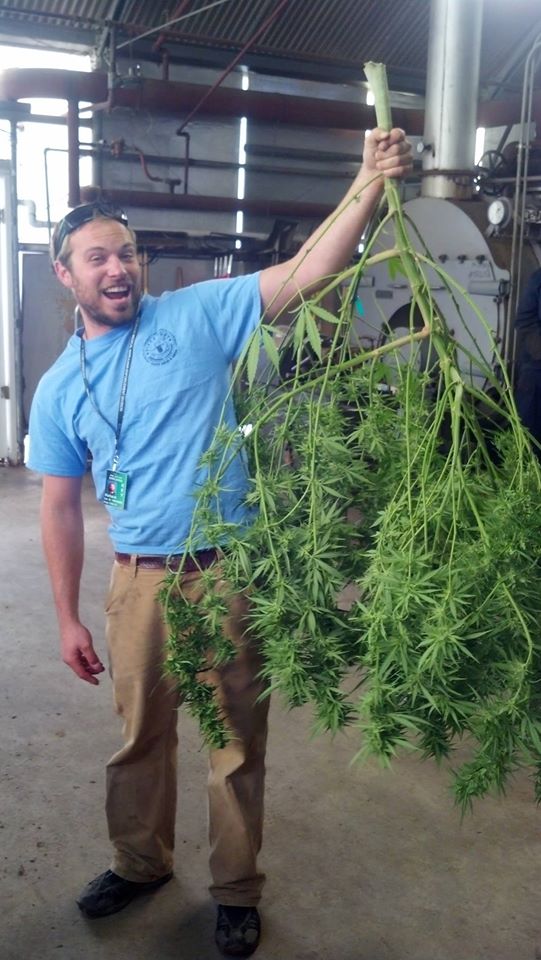 General Cannabis - Wkn: A14VV9 - Aktie 863546