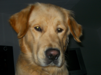 QV ultimate 2012 499641