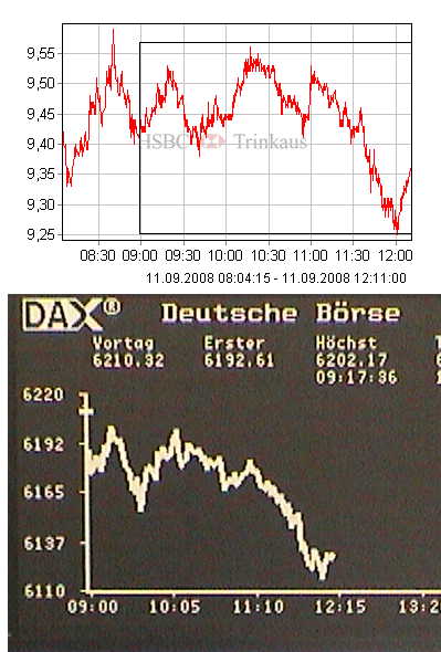 Die Bullen scharren gar nicht mit den Hufen, 185588