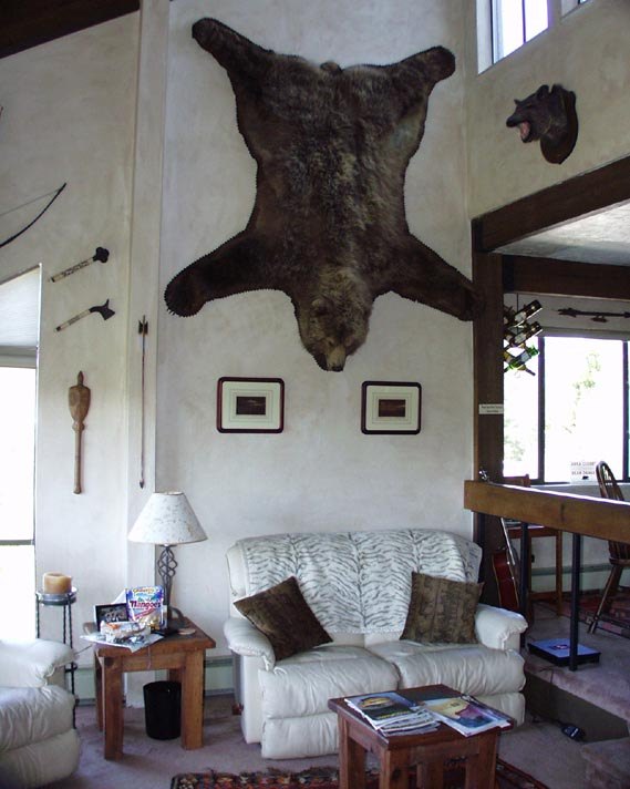 Der USA Bären-Thread 132907