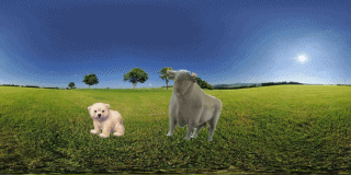 QV ultimate (unlimited) 620003