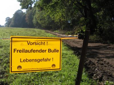 ▶ TTT-Team: Dienstag, 18.09.2007 120760