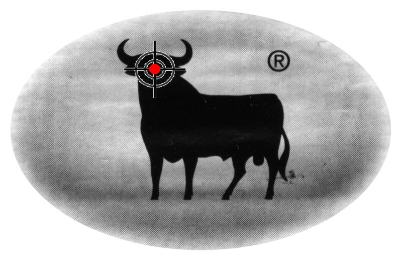 Der Bär streift umher 215767