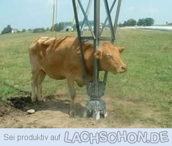 QV ultimate (unlimited) 611753