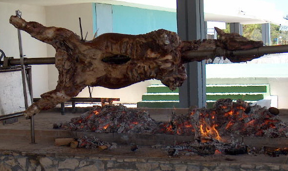 Der USA Bären-Thread 243029