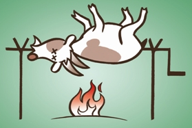 QV ultimate 2012 561042