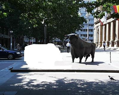 Der Bär erhält Platzverweis 125185