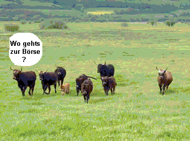 Der DEUTSCHLAND Bullen-Thread 191814