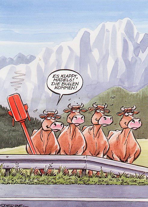 Der Antizykliker-Thread 196928