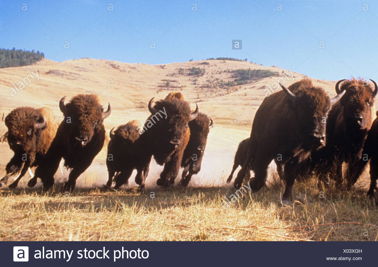 2018 QV-GDAXi-DJ-GOLD-EURUSD-JPY 1087765