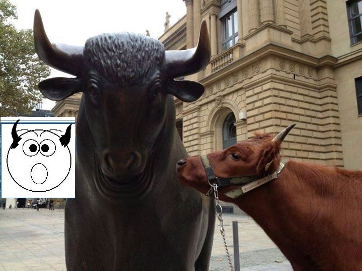 DAX 2014 strong long! Spiel mit offenen Karten! 679101