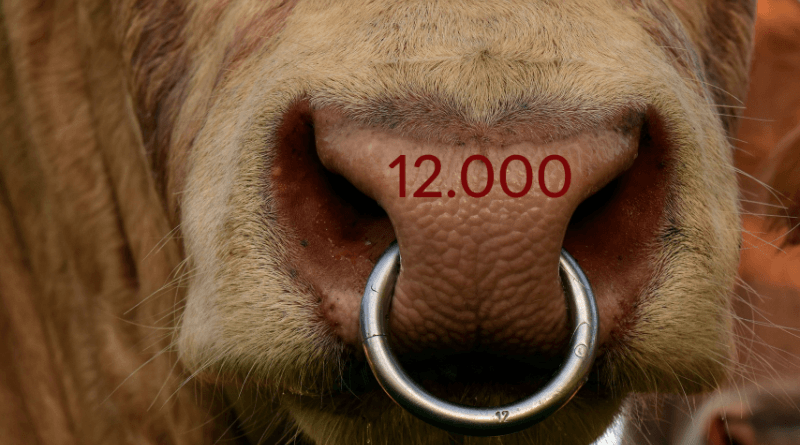 2017 QV-GDAXi-DJ-GOLD-EURUSD-JPY 984562