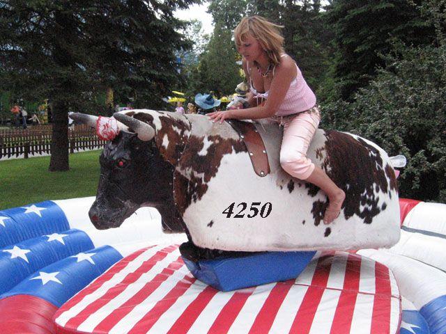 981.DAX Tipp-Spiel Freitag,20.02.09.17.45 Uhr 217373