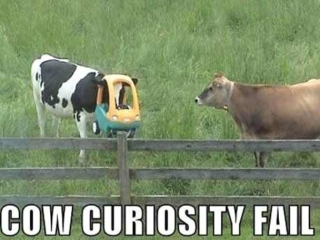 QV ultimate 2012 528094