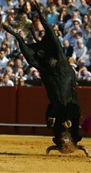 VG Gold ( ISIN: CA9182161021 ) 143677