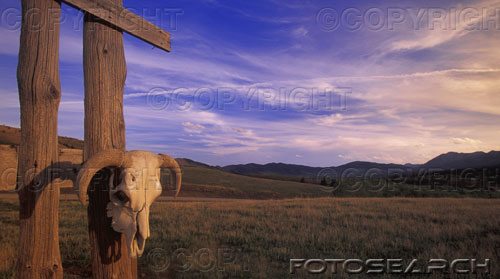 653.DAX Tipp-Spiel, Donnerstag, 01.11.07 129128