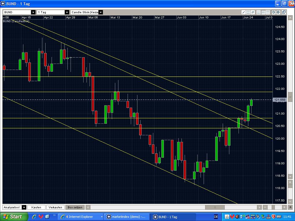 Der USA Bären-Thread 241603