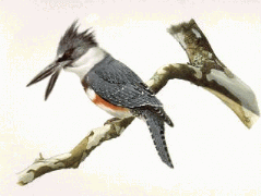 Epigenomics auf dem Weg zur FDA Zulassung?! 982981