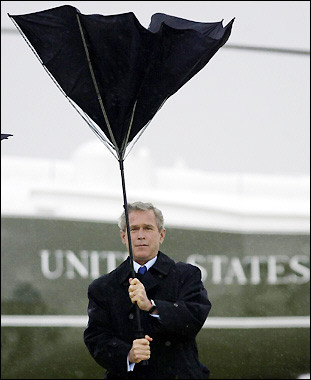 Der USA Bären-Thread 366488