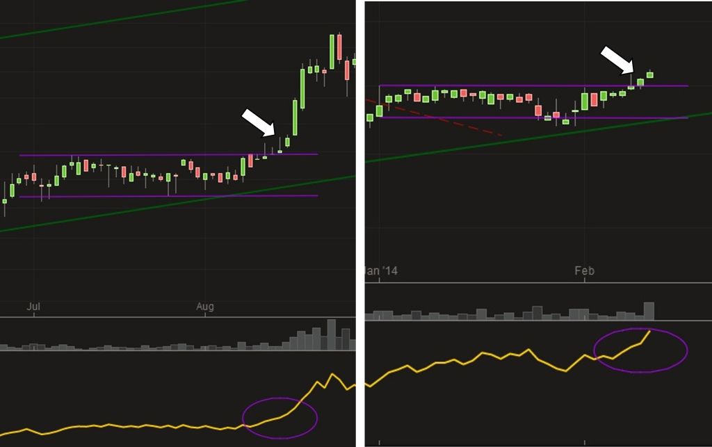 14 Gründe für ein Investment in BVB. 694286