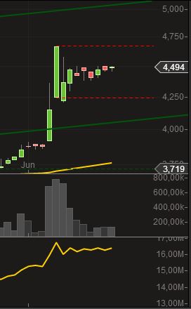 14 Gründe für ein Investment in BVB. 733728