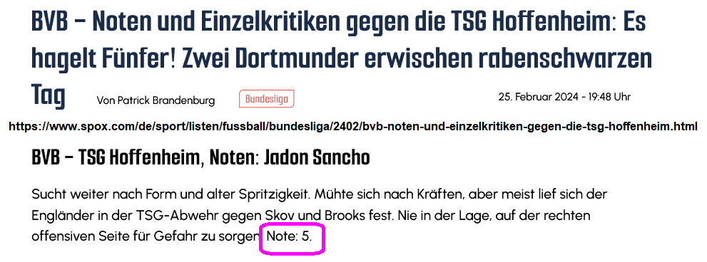 Spieltaganalyse und Kaderdiskussion BORUSSIA 09 1416319