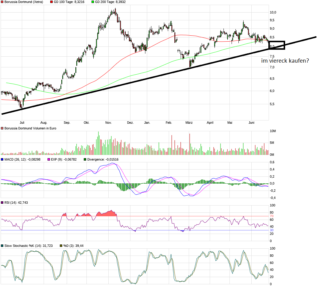 Borussia Dortmund - Unternehmens/Aktienanalyse 1120250