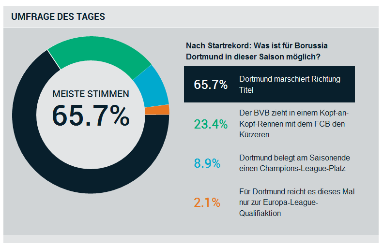 14 Gründe für ein Investment in BVB. 644662