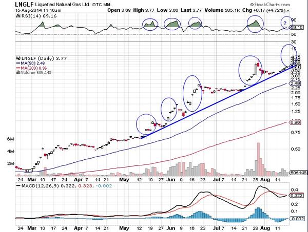 Die Aktie Liquefied Natural Gas, eine Perle! 749031