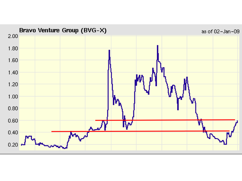 Bravo Venture kaufen 208367