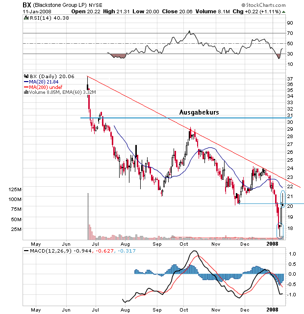 Der USA Bären-Thread 141423