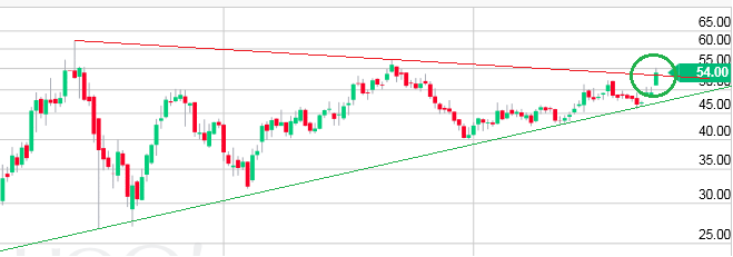 Auto- und Batterien-Herstellers BYD 1011791