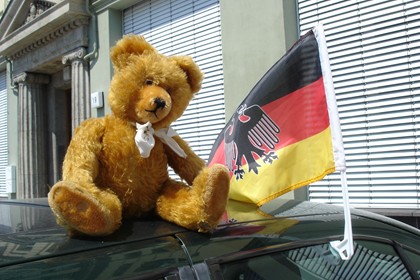 Mentale Hilfe für Bären 99540