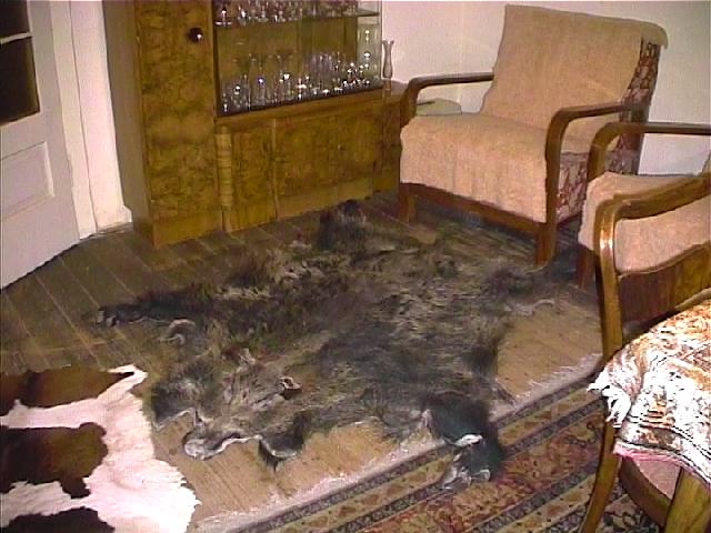 DAX 7500 Thread 92782