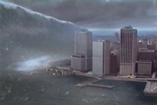 Der USA Bären-Thread 170531