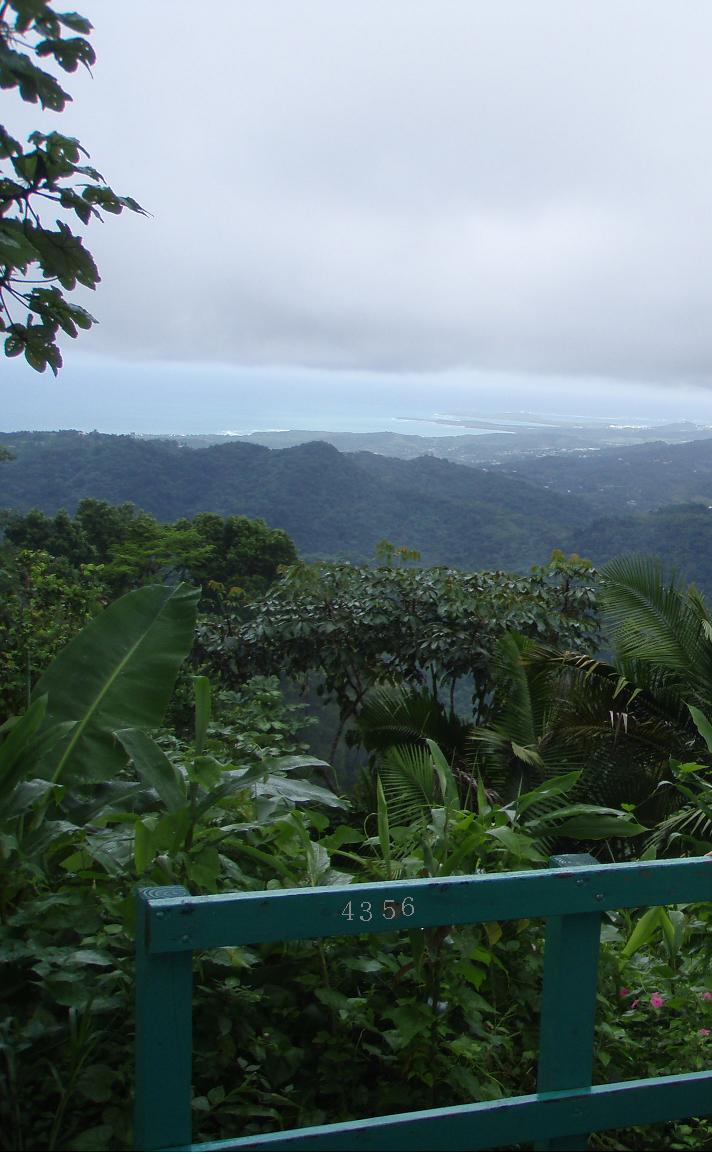 923.DAX Tipp-Spiel *Dienstag* 25.11.08, 17.45 Uhr 201559