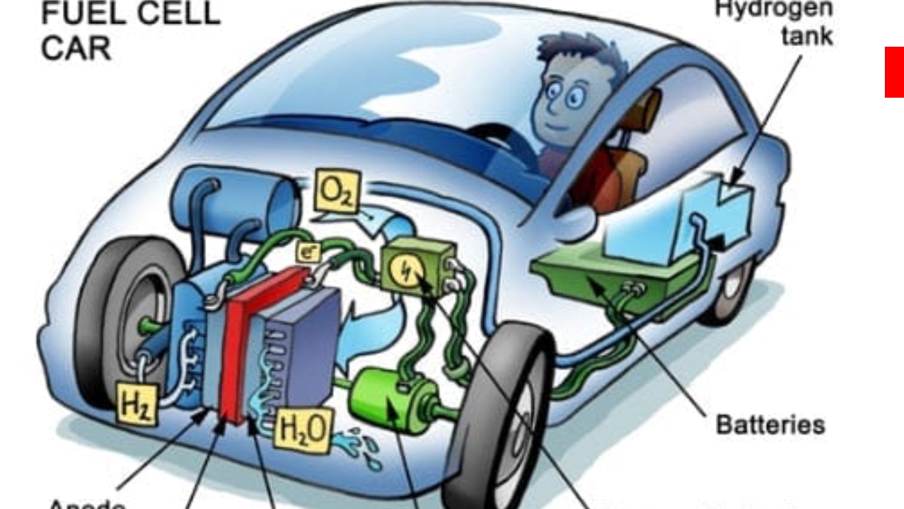 NEL, der Wasserstoffplayer aus Norwegen 1110242