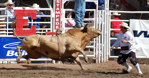 Don Tomaso´s Chartecke 322663